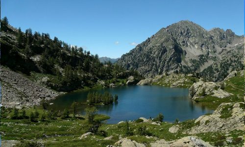 Le vallon du Boréon